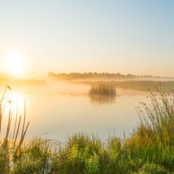 Commentaire de l’Évangile du 7 février 2026