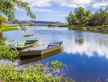 Les gardiens du Pacifique : un documentaire essentiel