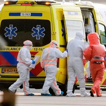 Situation et gestion de l’épidémie d’hantavirus à bord du MV Hondius