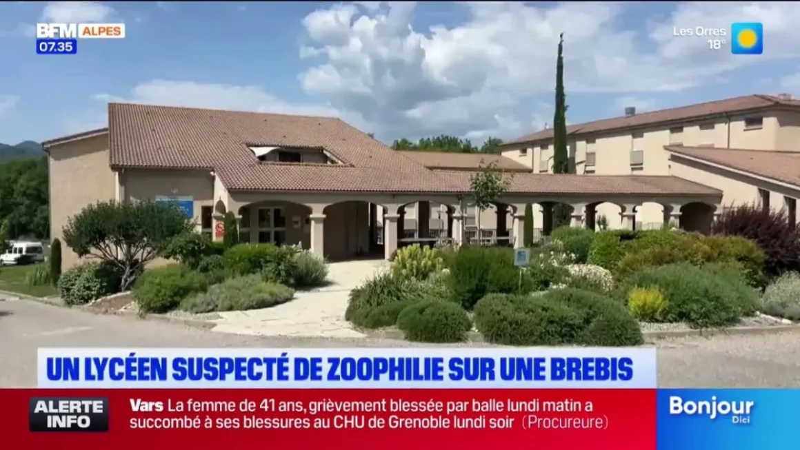 Enquête sur des soupçons de maltraitance animale au lycée agricole de Carmejane
