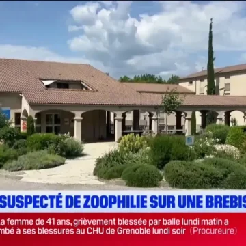 1b990286-60c2-4ec1-864c-d74b77913775 Enquête sur des soupçons de maltraitance animale au lycée agricole de Carmejane