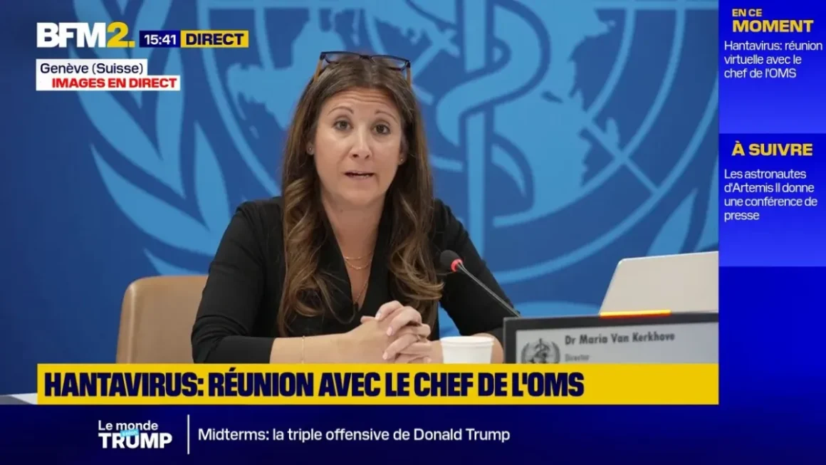 Discussion sur l’hantavirus à l’OMS