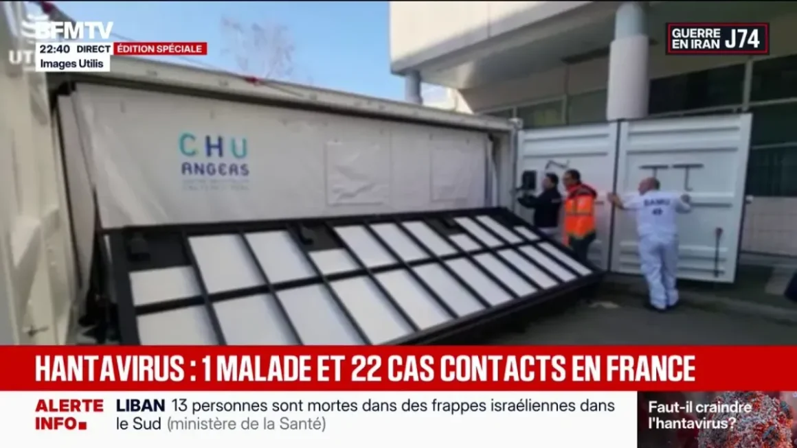 Un foyer d’hantavirus détecté sur le MV Hondius