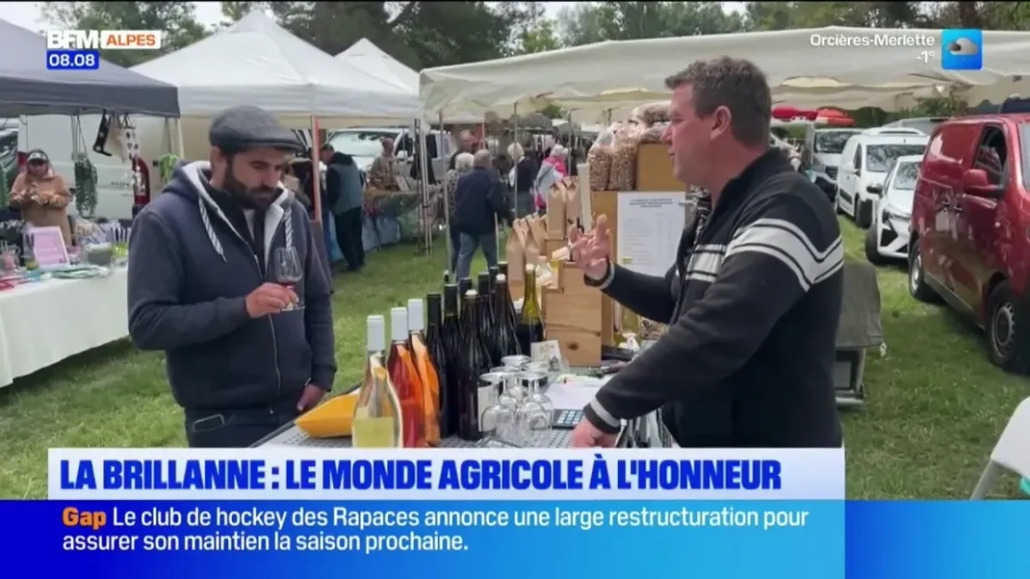 La Brillanne met en avant le monde rural lors de la 28ème foire agricole