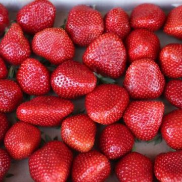 Alternatives au sucre pour savourer les fraises