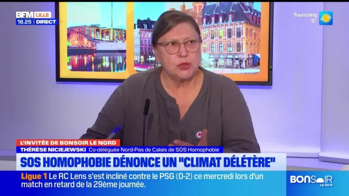Entretien avec Thérèse Niciejewski sur le 30e rapport de SOS Homophobie
