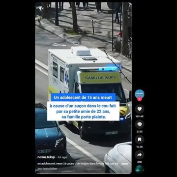 Mécanismes de la désinformation sur TikTok : Un cas mexicain revisité
