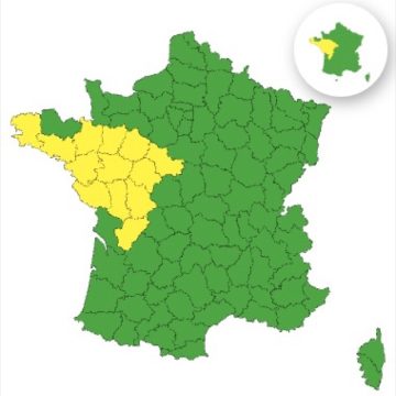 Alerte Jaune pour Canicule en France