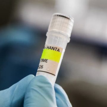 Propagation de l’hantavirus des Andes sur un bateau de croisière