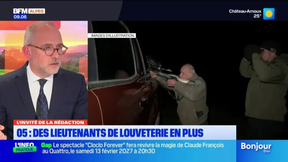 Renforcement des effectifs contre la prédation du loup dans les Hautes-Alpes