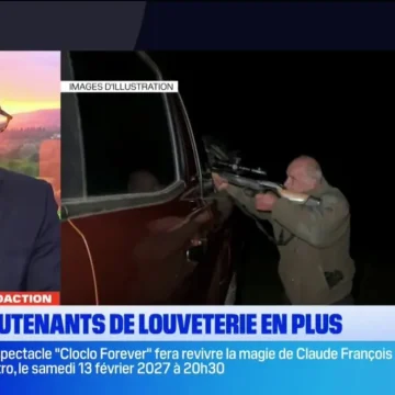 Renforcement des effectifs contre la prédation du loup dans les Hautes-Alpes