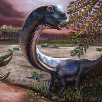 7669ea80-75ed-4013-9d93-e10fe9b1bce3 Découverte d’un Dinosaure Géant en Thaïlande