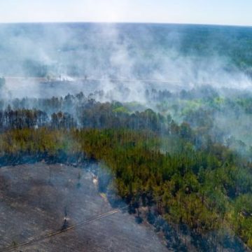 Incendies ravageurs et impacts climatiques inquiétants