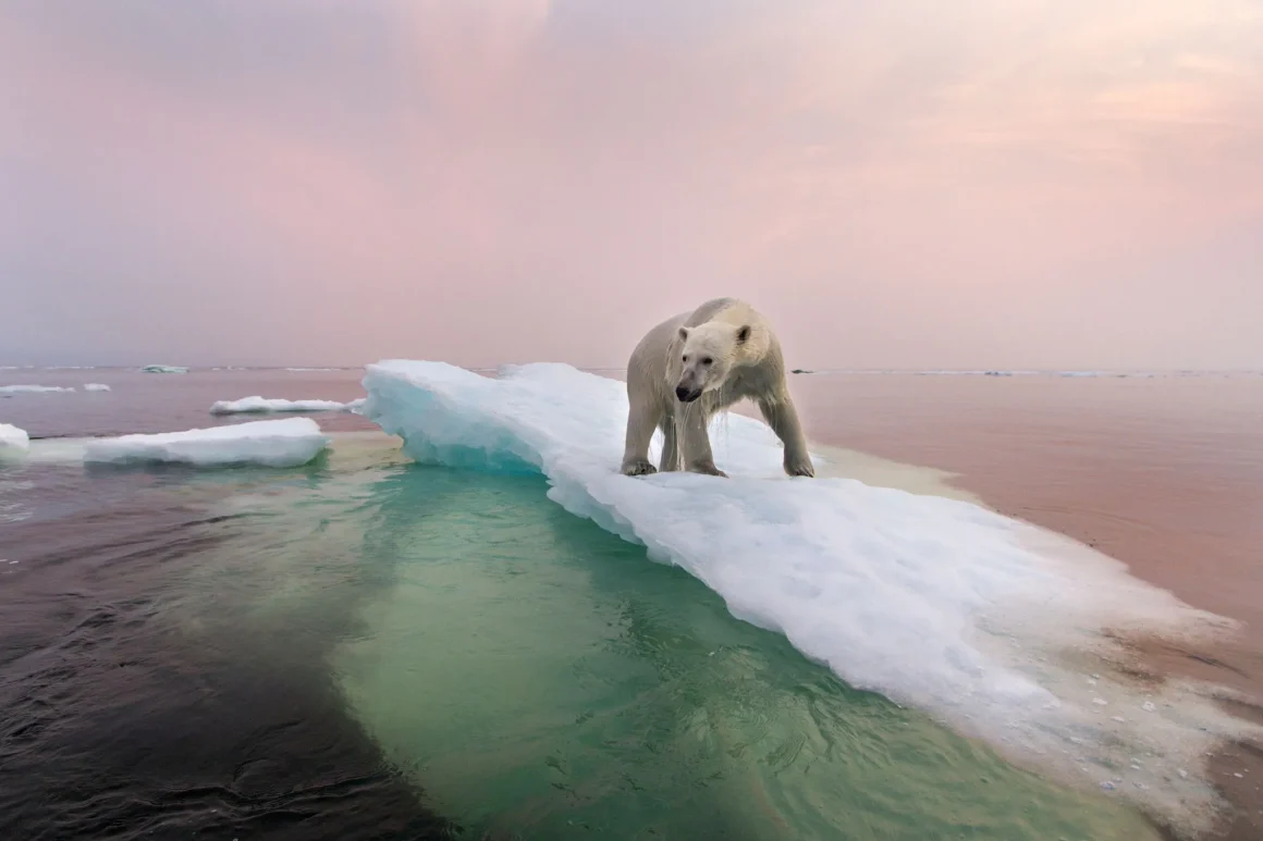 Comprendre le passé pour prévoir le climat de 2100