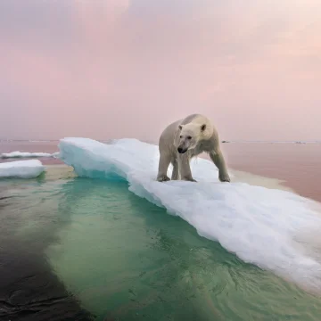 Comprendre le passé pour prévoir le climat de 2100