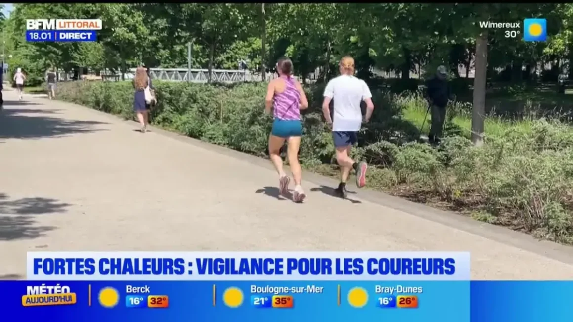 Résumé de l’Émission Bonsoir Littoral