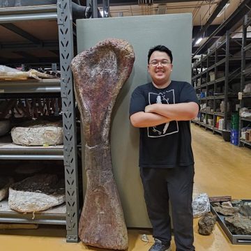 Découverte d’un Titan Préhistorique en Thaïlande