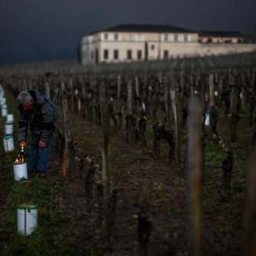 La consommation mondiale de vin en baisse