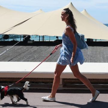 Sauvetage De Deux Chiens Coincés Dans Une Voiture Sous La Canicule