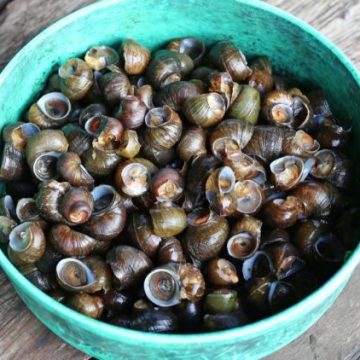 Les bienfaits des aliments riches en magnésium