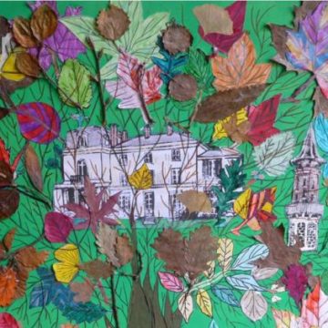 Concours pour sensibiliser à l’importance des arbres