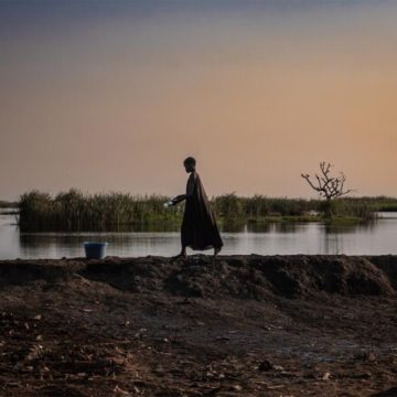 Projet de Loi d’Urgence Agricole : Impacts sur l’Eau et l’Écologie