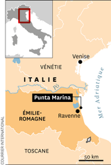 La coexistence turbulente des paons à Punta Marina : entre médiatisation et tensions locales