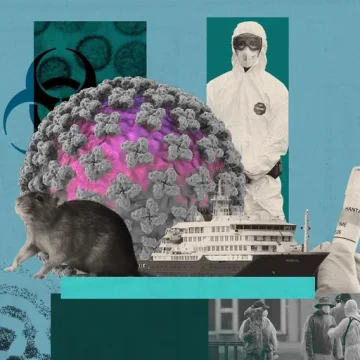 Comprendre l’hantavirus et ses conséquences sur le MV Hondius