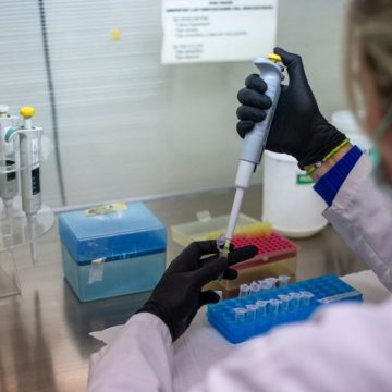 ARGENTINA-HEALTH-HANTAVIRUS-ILLNESS Les recherches des spécialistes sur le hantavirus des Andes et l’état actuel en France