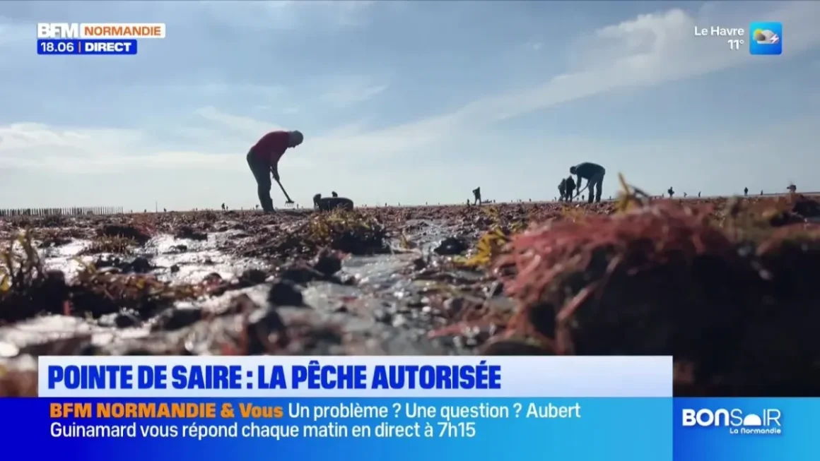 Les Actualités de BFM Normandie : Bonsoir Normandie