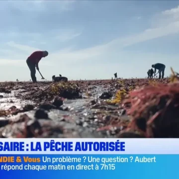 Les Actualités de BFM Normandie : Bonsoir Normandie