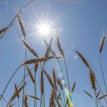 Prévisions météorologiques : semaine ensoleillée et chaleurs estivales attendues