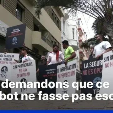 Le navire MV Hondius et les cas d’hantavirus aux Canaries