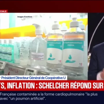 Dominique Schelcher: Achat de Masques et Épidémie d’Hantavirus