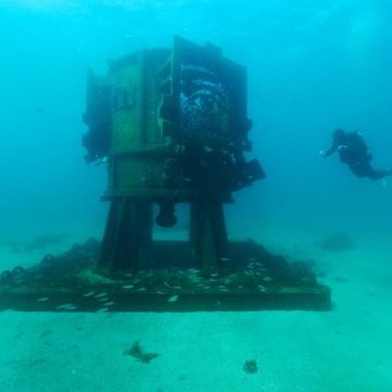 Art Reef : Fusion de l’art et de la vie marine