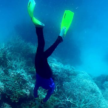 d8809dd0-d73a-4ae8-9d4e-c769fa142850 Recherche d’un plongeur disparu à l’est de Porquerolles