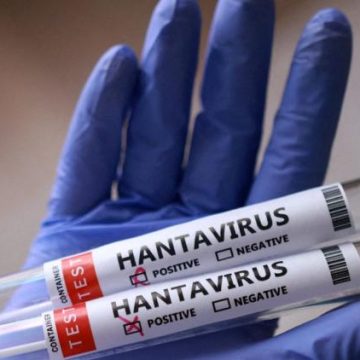 L’hantavirus en Argentine : le point sur la situation
