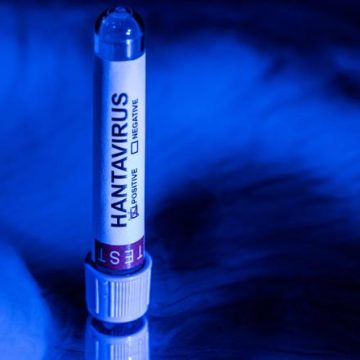 Propagation des Rumeurs sur l’Hantavirus