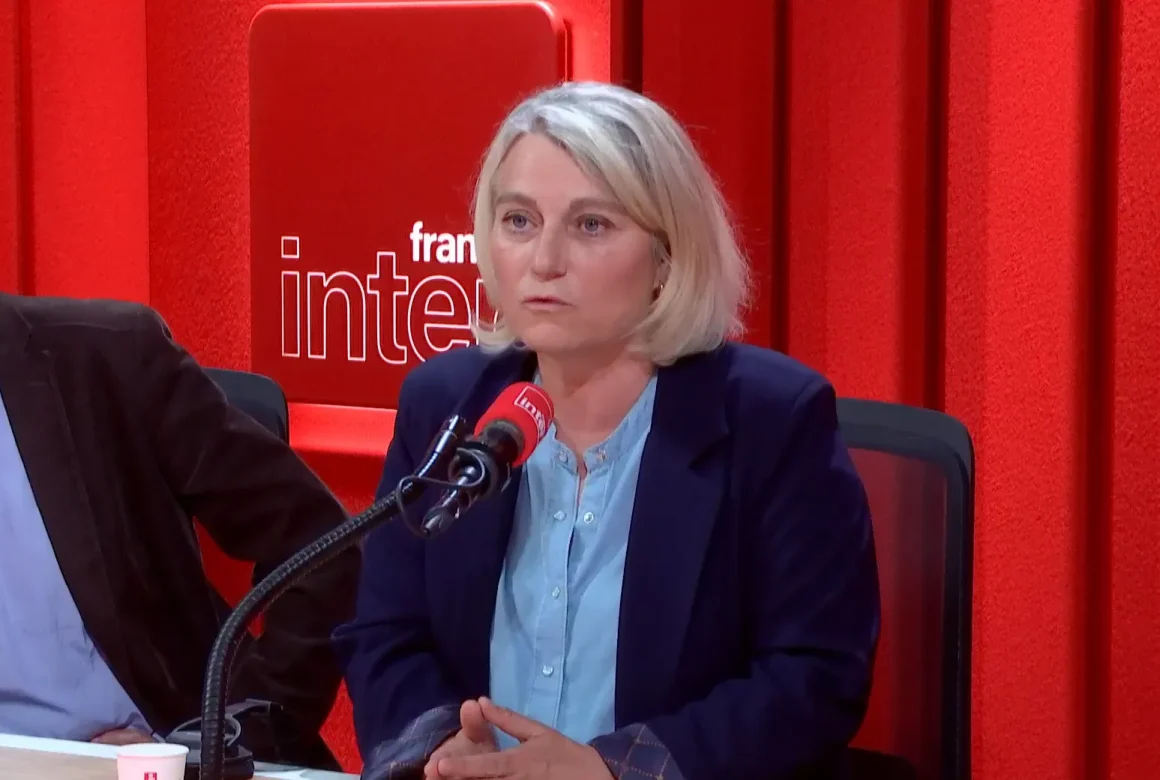 Lutte contre l’hantavirus en France : coordination et précautions