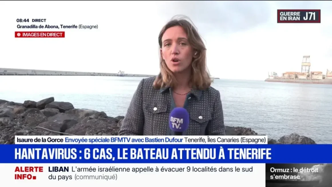 Le navire MV Hondius en route vers les îles Canaries en raison d’un foyer d’hantavirus