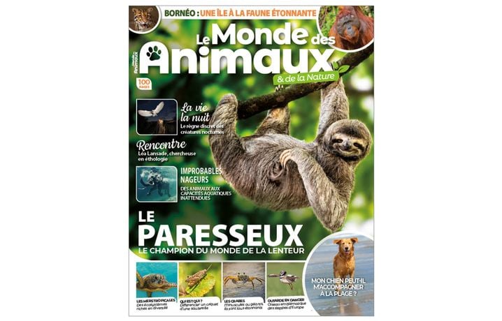 008895ff-5485-4bb1-86c4-51a8a609dad0 Les animaux des profondeurs