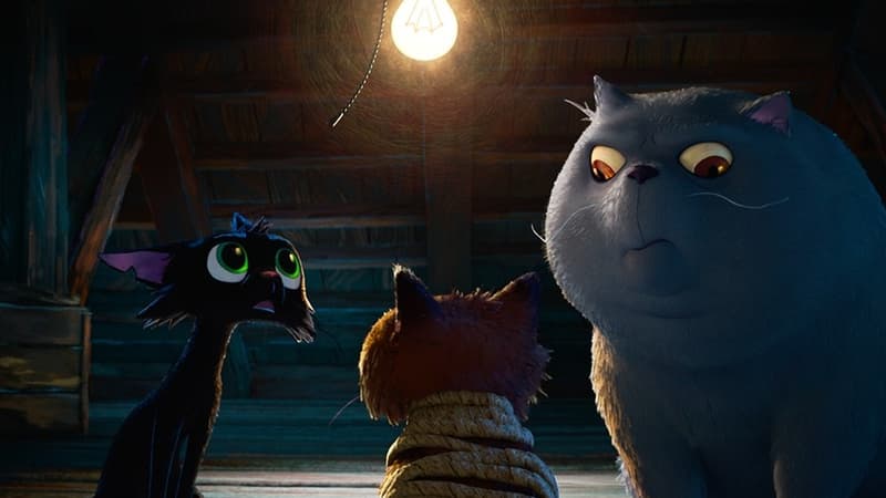0784219e-81a3-4642-abf2-d5a4993b8b1d Nero, chat noir : nouveau film d’animation Disney/Pixar
