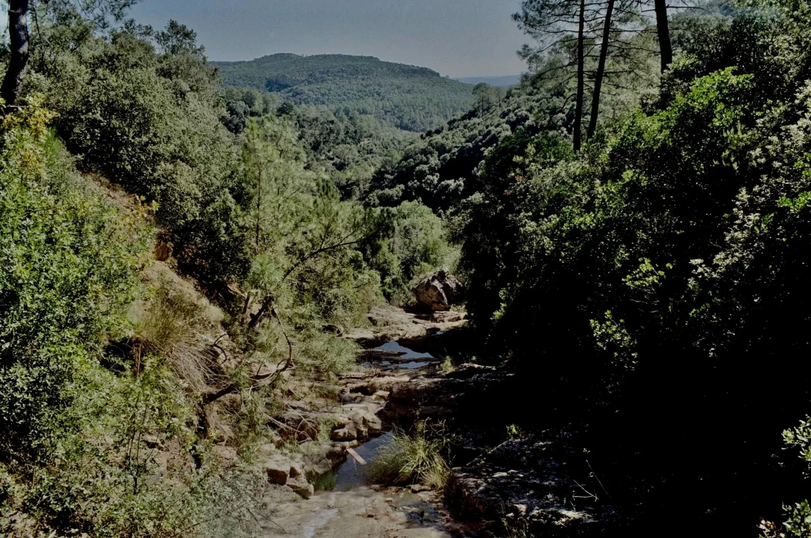 08534db0-c7df-44cf-859e-fa45bac171aa Un combat contre les pollutions invisibles dans les Cévennes