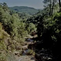 Un combat contre les pollutions invisibles dans les Cévennes