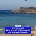 Une nageuse grièvement blessée par une attaque de requin à Sydney