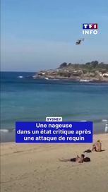 09680fc3-4b08-4fd4-9640-67a6697d18f1 Une nageuse grièvement blessée par une attaque de requin à Sydney