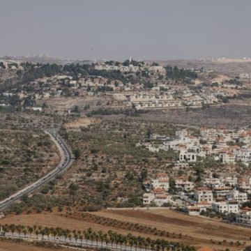 0e03c035-b023-47ef-a019-0be6b47613ae Fraude systématique sur l’origine des produits agricoles en Cisjordanie