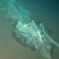 Découverte fascinante d’un cimetière de baleines dans l’océan Indien