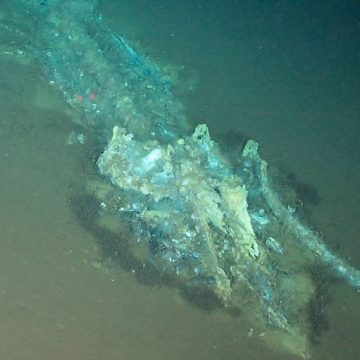 Découverte fascinante d&rsquo;un cimetière de baleines dans l&rsquo;océan Indien