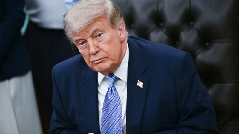 160a098e-53a7-4cdc-b14f-7c84fb590761 Un revers judiciaire pour Trump sur les visas H-1B